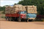 Transport van tabak